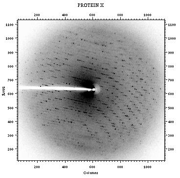 [Protein diffraction pattern collected on BM-14 at the ESRF]