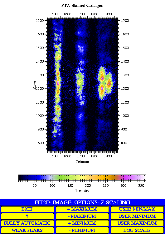 \includegraphics [height=165mm]{collagen.ps}

