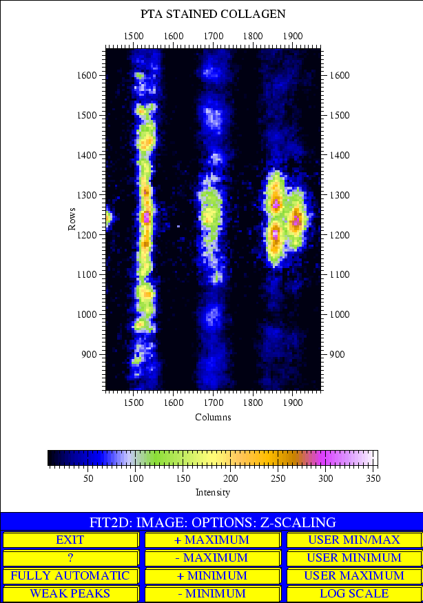 \includegraphics[height=220mm]{fit2d_collagen.ps}