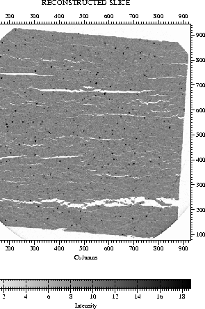 \includegraphics [height=11cm]{slice.ps}
