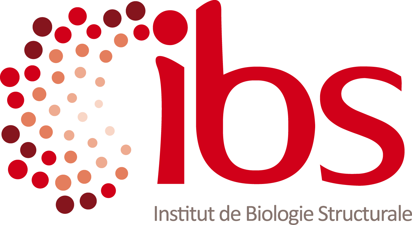 IBSlogo.png (IBS logo)