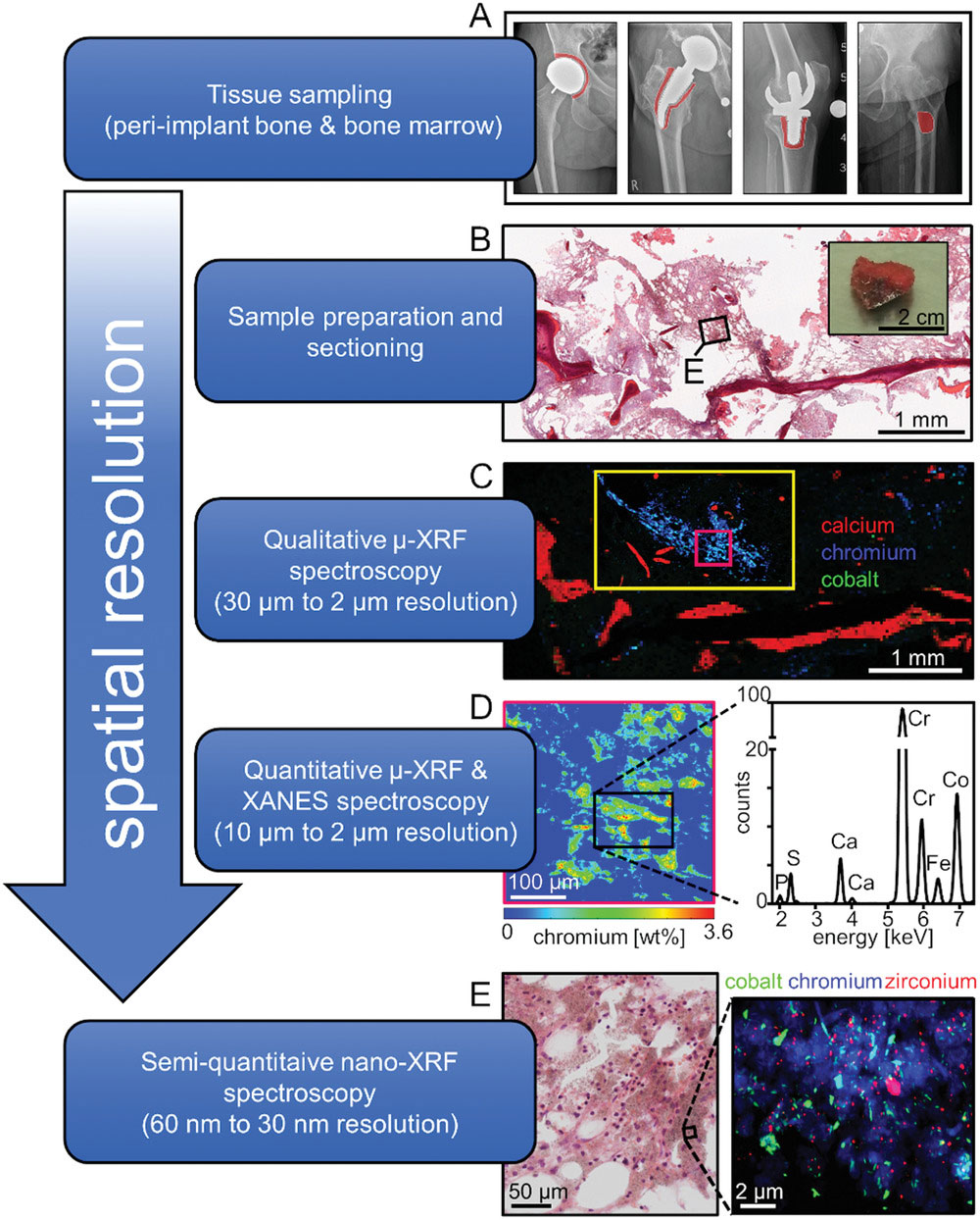 Example Metal Mapping Health and Medtech