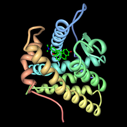 Crystal structure of the human beta2-andregenic receptor