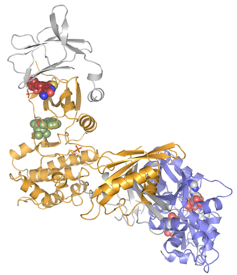 CRELUX_Structure.jpg