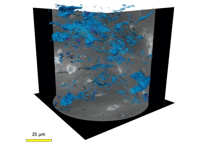  High resolution imaging with 50 nm voxel size collected at ID16B.