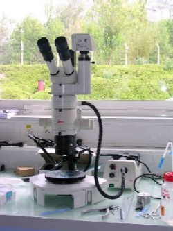 Microscope_leica.jpg Microscope_leica.jpg