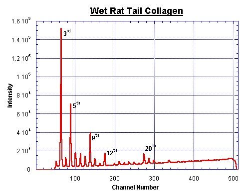 rattail.jpg (Rat tail collageen)