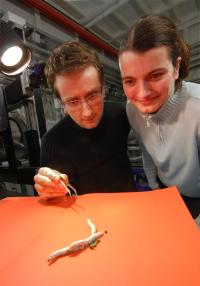 Max-Imke-worms.jpg
