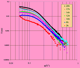 Imgspalla2 Imgspalla2