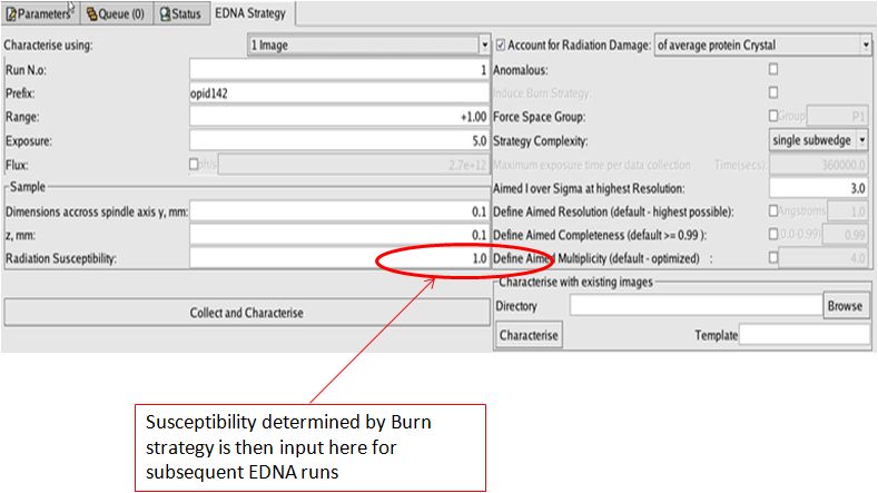 Susceptibility field