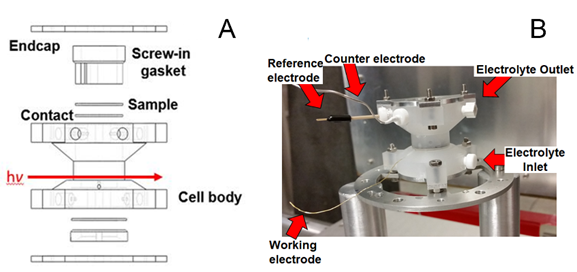 fig2.png