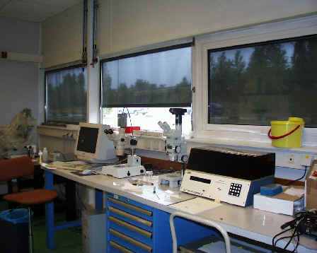 labpic2