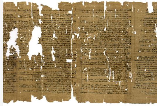 Papyrus 1.JPG