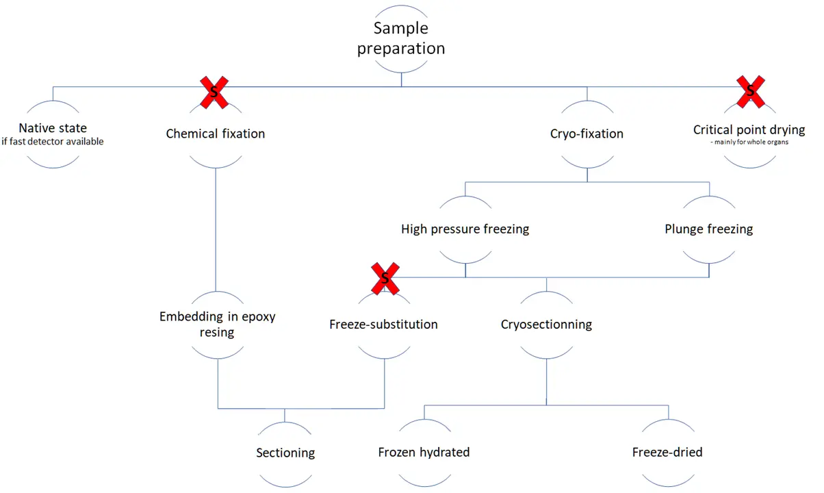 sample-prep.webp