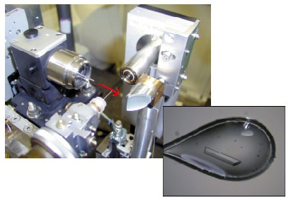 fig021.jpg (fig021.jpg)