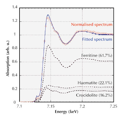 Micro-XANES analyses of asbestos bodies