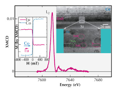 R.T. spin polarisation of Eu in EuS layers in proximity to Co
