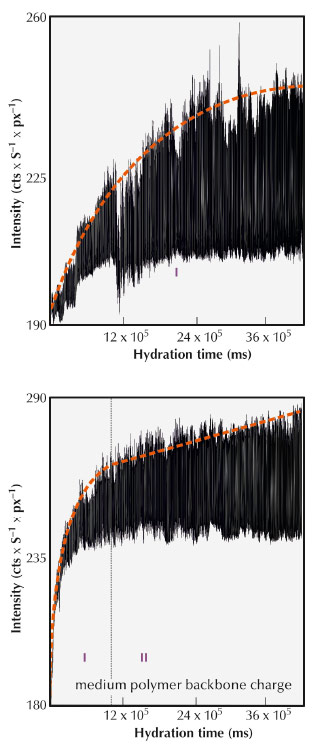 ettringite (100) reflection as a function of time
