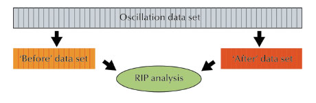 Schematic diagram of the segmented RIP method