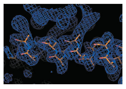 Example of experimental electron density map calculated after Segmenting RIP