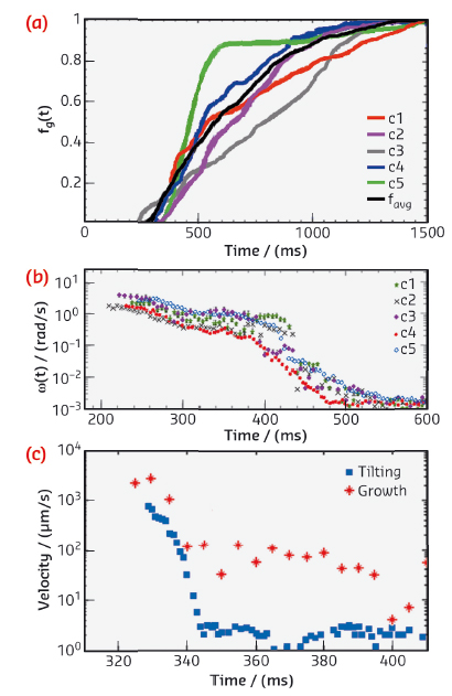 Columnar (c) crystal volume evolution