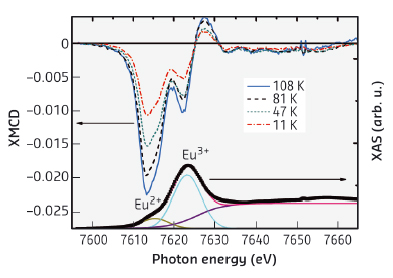 X-ray absorption and XMCD results from a ferromagnetic EuN film