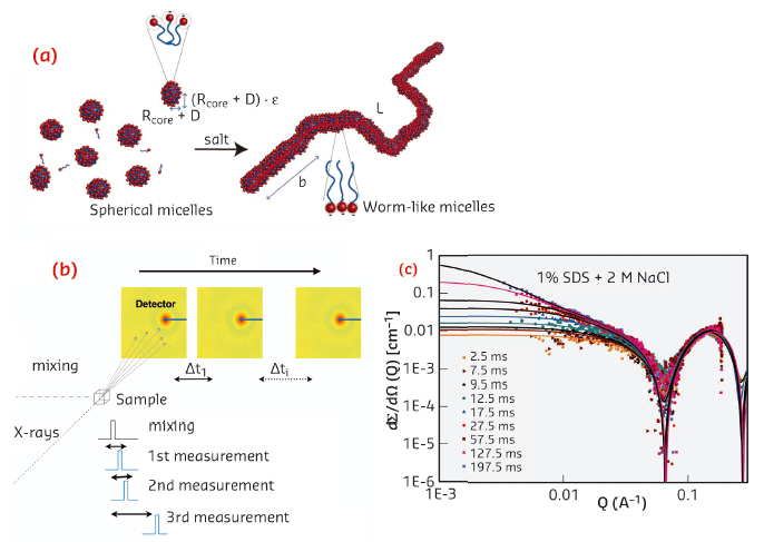Transition from spherical to worm-like SDS micelles upon addition of salt
