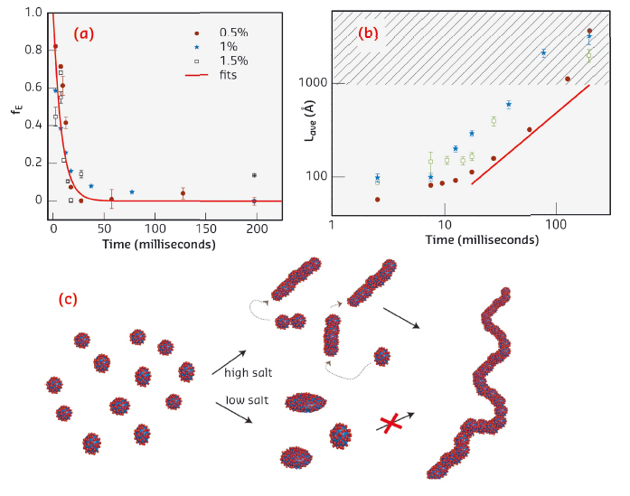 Results of the quantitative model fit analysis showing the time dependence