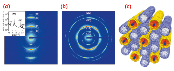 SAXS Intensities of p-SWNT/C12E5/water aligned by an oscillatory shear