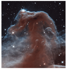 Infrared image of the dust rich horsehead nebula