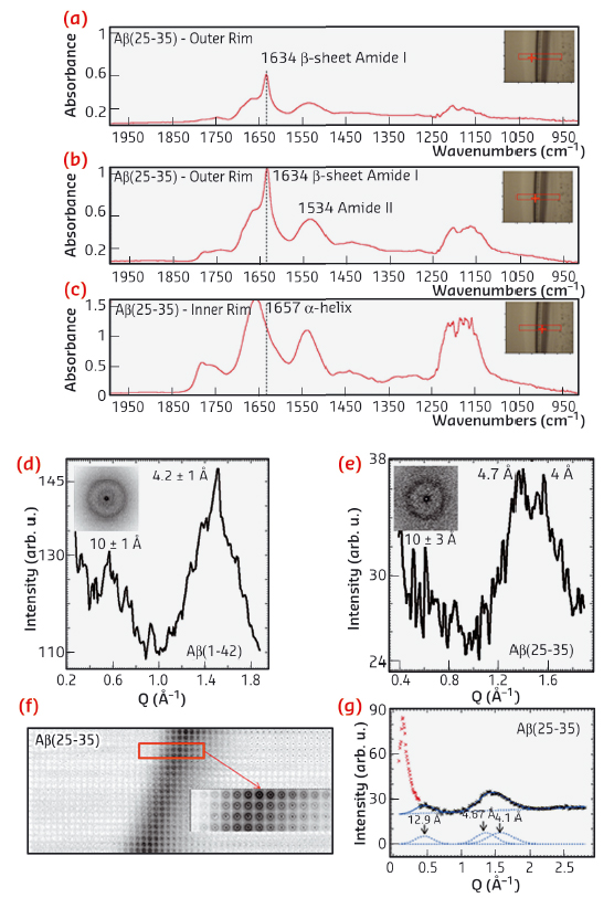 FTIR spectra recorded from several regions of the Aβ(25−35) residue