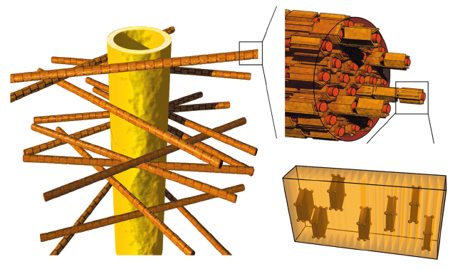 dentine nanocomposite structure made of collagen fibres embedded in mineral