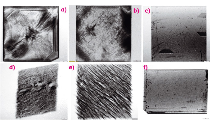 White beam topography of different single diamond plates