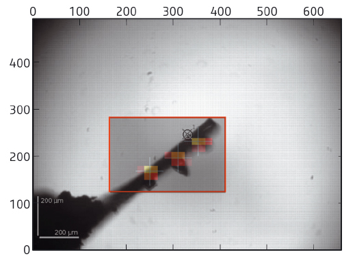 Sample mounts are analysed and an area chosen to scan through the X-ray beam