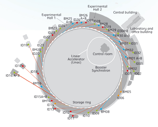 Experimental hall showing location of the beamlines