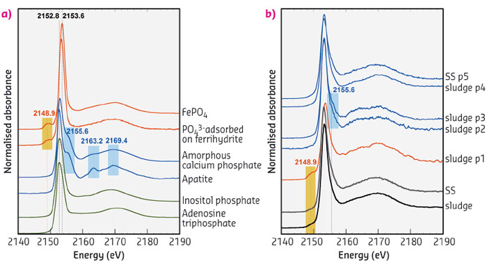 P K-edge XANES spectra