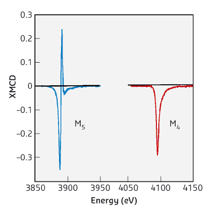 XMCD spectroscopic shapes for the Am M5 and M4 edges in AmFe2