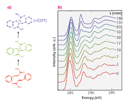 The reaction scheme of the dimerisation of α-trans-cinnamic acid to α-truxillic acid
