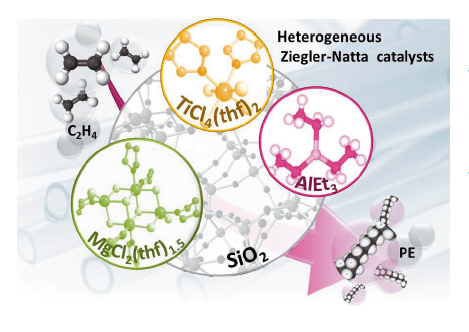 Schematic representation of all the components of a silica-supported Ziegler-Natta catalyst