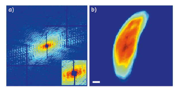 diffraction pattern taken at the 0° tilt angle