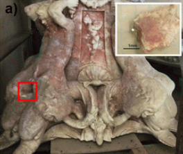 Screenshot 2024-10-23 161858.png