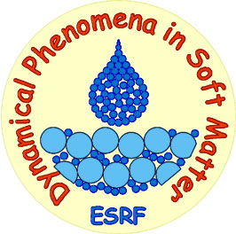 Workshop on Dynamical Phenomena in Soft Matter