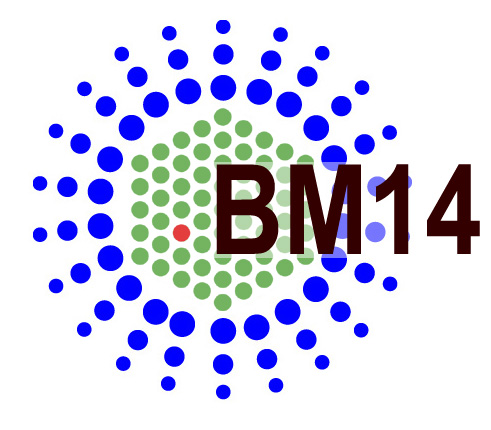 BM14 logo