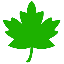 leaf.png
