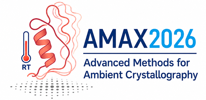 AMAX Logo .png