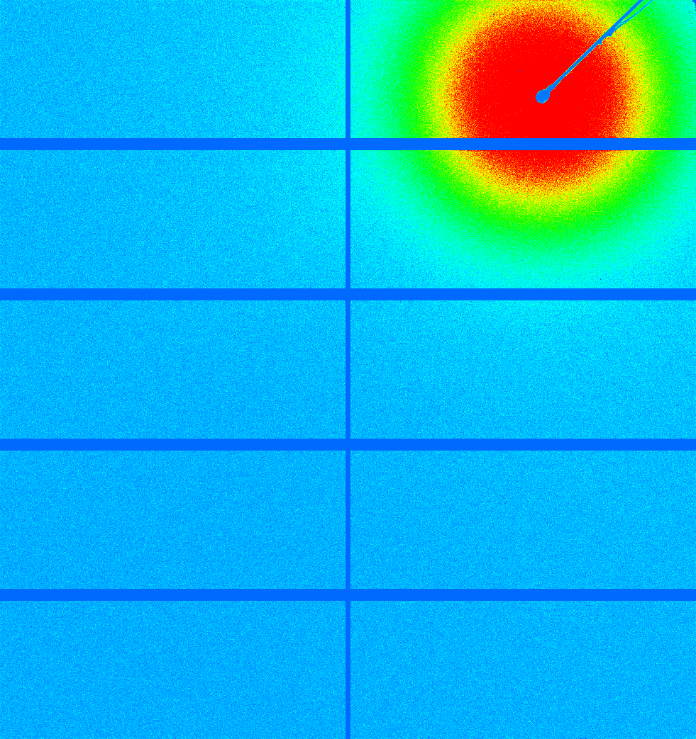 snapshot of BSA_1.jpg