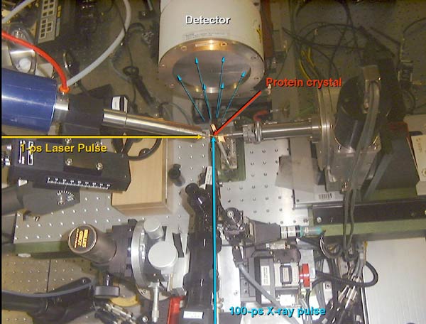 The experimental setup in the beamline, click to 
 view at higher resolution.