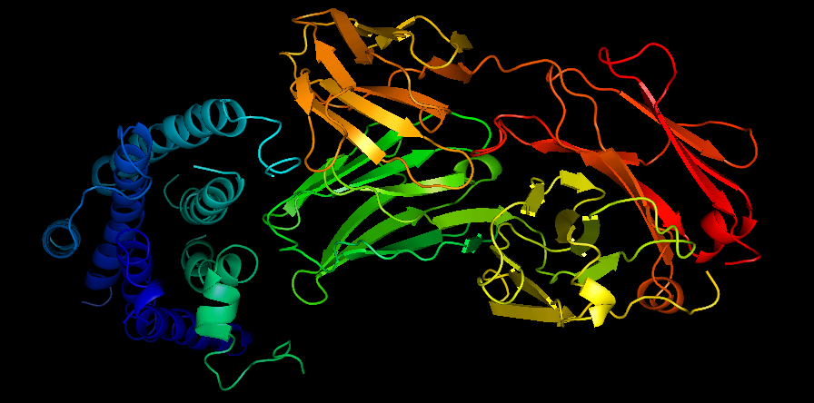 gpcr