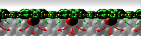 Phthalocanine molecules (side view)