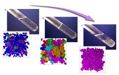 Phase behaviour of colloidal suspensions